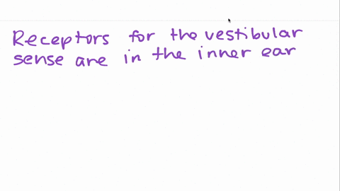the-receptors-for-the-vestibular-sense-are-located-in-the-a-skin-b-brain-c-inner-ear-d-skeletal-musc