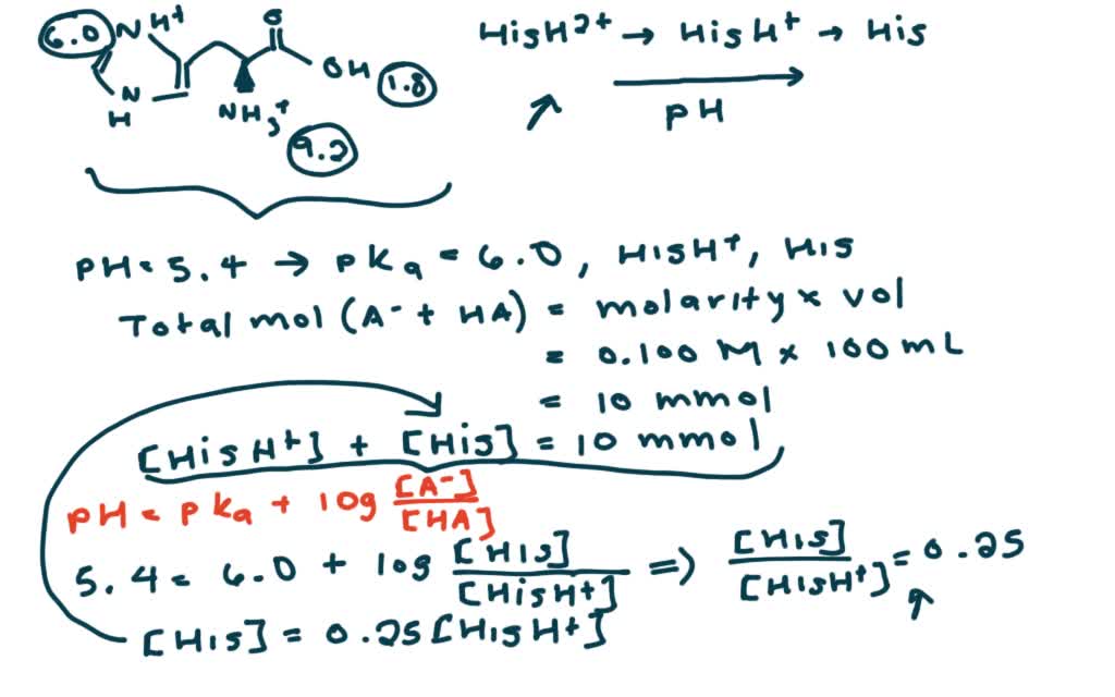 20-calculation-of-the-ph-of-a-solution-of-a-polyprot-solvedlib