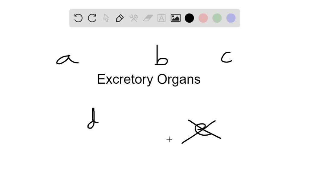 solved-directions-each-group-of-questions-consists-of-five-lettered