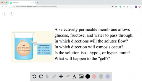 draw-it-an-artificial-cell-consisting-of-an-aqueous-solution-enclosed-in-a-selectively-permeable-mem