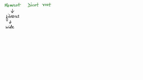 compare-monocot-and-dicot-roots-how-does-the-arrangement-of-the-tissues-differ