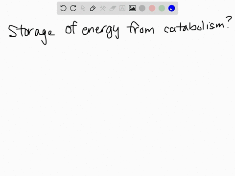 to-what-end-product-is-the-energy-of-foods-converted-in-the-catabolic-pathways-3