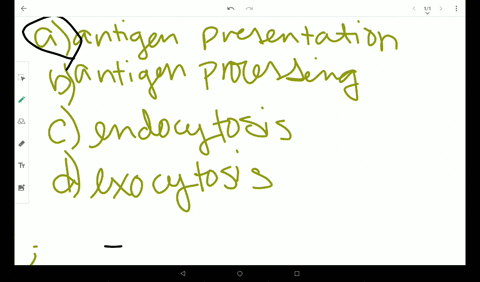 the-taking-in-of-antigen-and-digesting-it-for-later-presentation-is-called-______-a-antigen-presenta