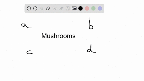 a-mushroom-is-_________-a-the-food-absorbing-part-of-a-fungus-b-the-only-part-of-the-fungal-body-not