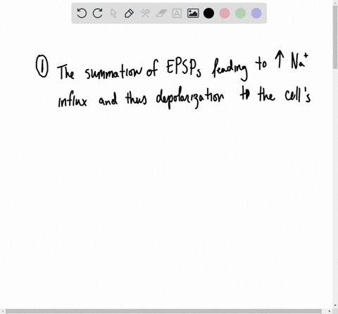 what-causes-the-wave-of-depolarization-constituting-an-action-potential-how-does-the-membrane-restor