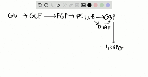 identify-the-two-steps-in-glycolysis-in-which-atp-is-produced