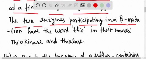 two-enzymes-participating-in-beta-oxidation-have-the-word-thio-in-their-names-a-name-the-two-enzym-3