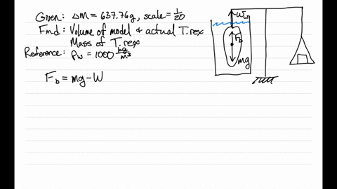 cdot-43-when-researchers-find-a-reasonably-complete-fossil-of-a-dinosaur-they-can-determine-the-mass