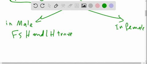 3 Pack Elite Testo Rx Gummies, All Natural Male Formula, Premium Sup