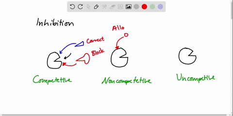 enzyme-inhibitors-play-an-important-part-in-the-control-of-enzyme-functions-allowing-them-to-continu