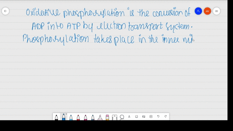 what-is-oxidative-phosphorylation