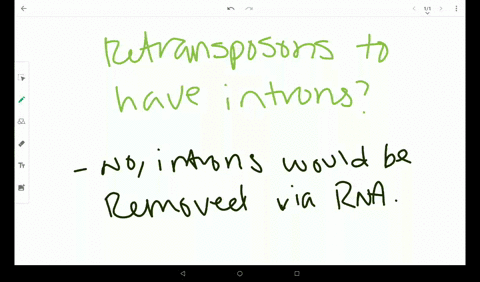 would-you-ever-expect-the-genes-in-a-retrotransposon-to-possess-introns-explain