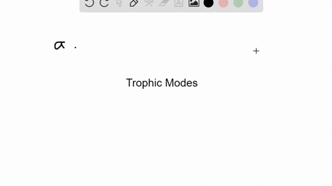 SOLVED:Protists with the capabilities to perform photosynthesis and to