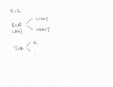 explain-how-dna-recombination-leads-to-the-production-of-almost-limitless-numbers-of-different-b-cel