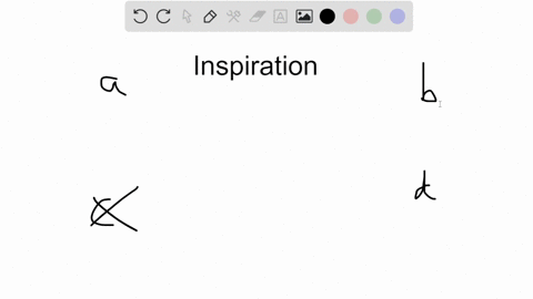 which-of-the-following-lists-the-order-of-structures-through-which-air-will-pass-during-inspiration-