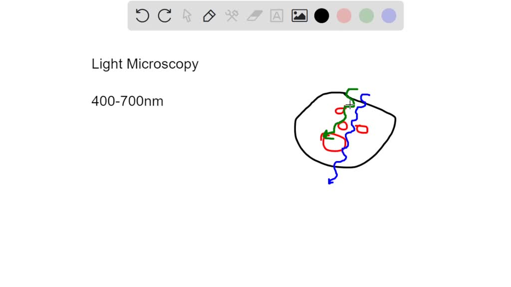 SOLVEDMany compound microscopes have a filter that eliminates all