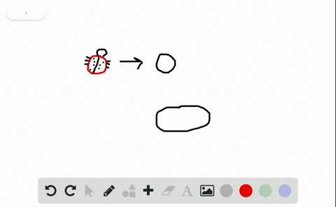 the-smallest-unit-of-life-is-the-_________-a-atom-b-molecule-c-cell-d-organism