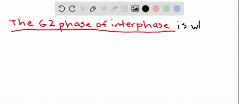 match-the-items-to-those-in-the-key-answers-can-be-used-more-than-once-or-not-at-all-a-g_1-phase-o-3