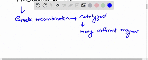 suppose-you-incubate-a-meiotic-cell-in-left3-mathrmhright-thymidine-between-the-leptotene-and-zygo-2