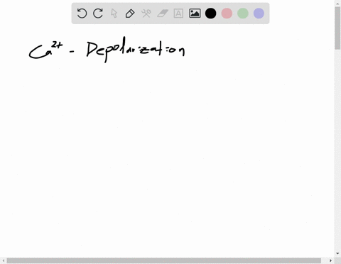 what-are-some-of-the-roles-played-by-calcium-ion-in-the-body