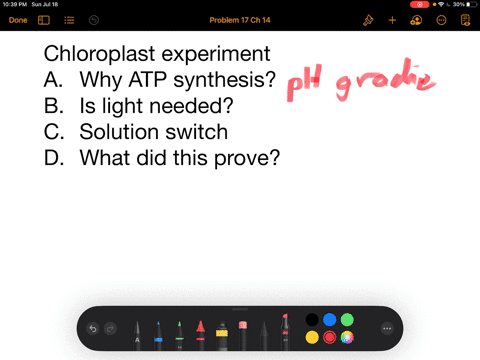 in-an-insightful-experiment-performed-in-the-1960-s-chloroplasts-were-first-soaked-in-an-acidic-so-3