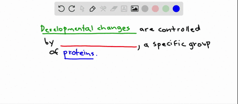 what-group-of-proteins-play-a-key-role-in-controlling-the-program-of-developmental-changes-a-motor-p