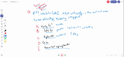 a-tumor-suppressor-protein-mathrmp-21-inhibits-cdk-1-the-earliest-effect-of-mathrmp-21-on-the-cell-2
