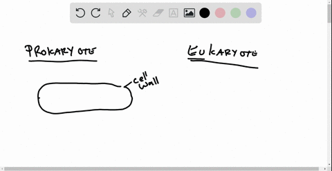 SOLVED:All cells have all of the following except…