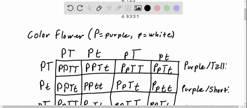 assuming-alleles-have-a-clear-dominance-relationship-a-dihybrid-cross-leads-to-a-phenotypic-ratio-in