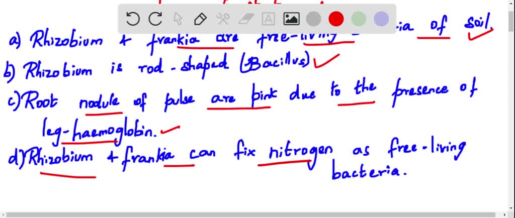 SOLVED: Which of the following statement is incorrect? (a) Rhizobium