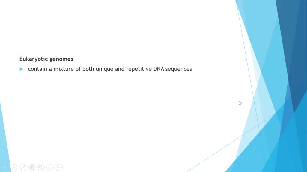 Solved Review The Chapter Concepts List On P 176 Most Center On Dna