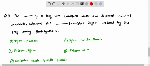 the-______________-of-a-leaf-vein-transports-water-and-dissolved-nutrient-minerals-whereas-the-_____