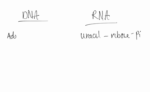 which-of-the-following-nucleotides-can-be-found-in-dna-which-in-rna-and-which-in-neither-2