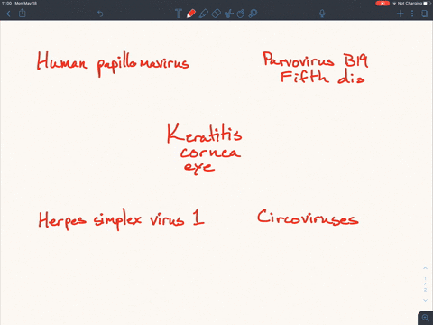 which-of-these-viruses-can-spread-to-the-eye-to-cause-a-form-of-keratitis-a-human-papillomavirus-b-h
