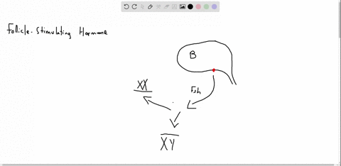 a-major-function-of-mathrmfsh-is-to-a-stimulate-the-development-of-the-gonads-in-embryos-b-stimulate