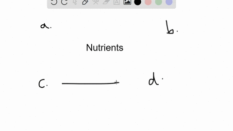 which-of-the-following-statements-about-nutrients-is-true-a-all-classes-of-nutrients-are-essential-t