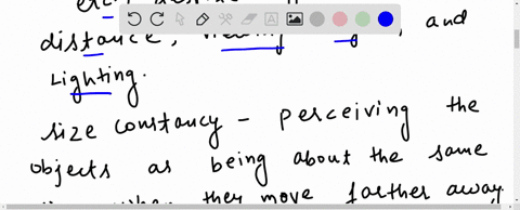 perceiving-a-tomato-as-consistently-red-despite-lighting-shifts-is-an-example-of-a-shape-constancy-2