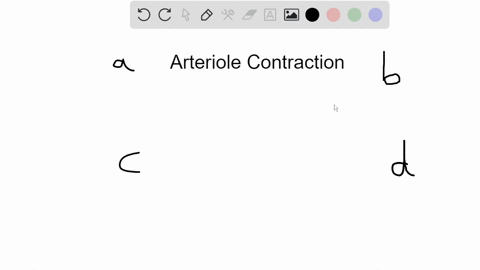 contraction-of-the-smooth-muscle-layers-of-the-arterioles-a-increases-the-frictional-resistance-to-b