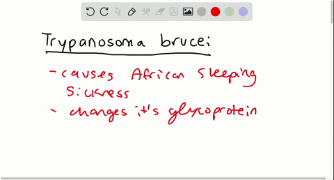 without-treatment-why-does-african-sleeping-sickness-invariably-lead-to-death