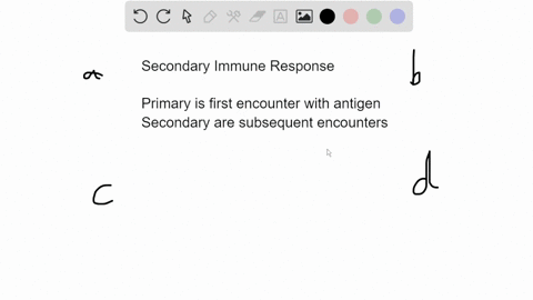 the-secondary-immune-response-is-a-slower-than-the-primary-immune-response-b-faster-and-longer-lasti