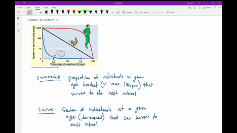 what-is-survivorship-what-does-a-survivorship-curve-show-explain-what-the-three-survivorship-curve-2