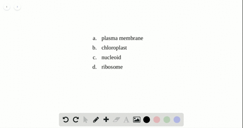 which-of-the-following-structures-is-not-found-in-prokaryotic-cells-a-plasma-membrane-b-chloroplast-