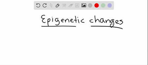 epigenetic-changes-a-can-involve-dna-methylation-b-are-due-to-nonhistone-protein-acetylation-c-are-d