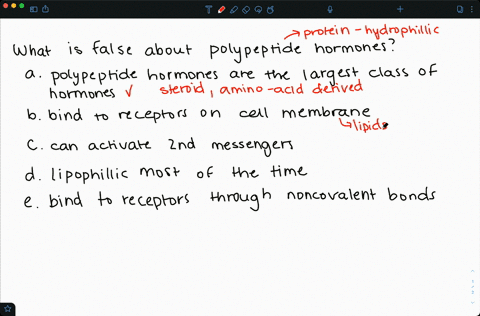 which-of-the-following-statements-about-polypeptide-hormones-is-false-a-they-bind-to-receptors-locat