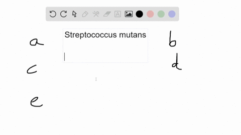 all-of-the-following-attributes-of-streptococcus-mutans-are-important-in-tooth-decay-except-a-it-pro