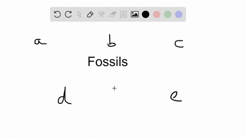 in-which-type-of-rock-are-you-more-likely-to-find-a-fossil-a-basalt-a-dark-fine-grained-volcanic-r-2