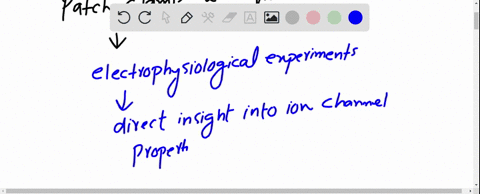 the-patch-clamp-technique-is-widely-used-in-electrophysiology-to-study-the-gating-properties-of-ion-