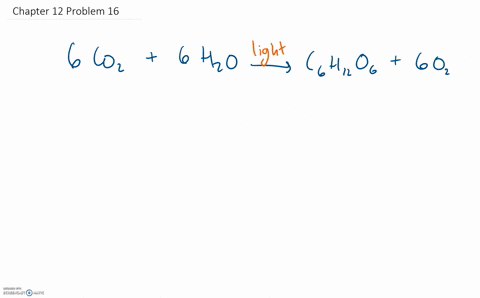 write-the-overall-reaction-of-oxygen-generating-photosynthesis-explain-the-following-statement-the-2