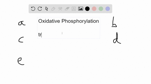 in-the-process-of-oxidative-phosphorylation-the-energy-of-a-proton-motive-force-is-used-to-generate-