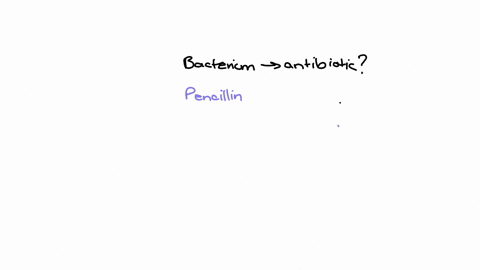 name-one-bacterium-that-produces-an-antibiotic-that-is-used-in-medicine